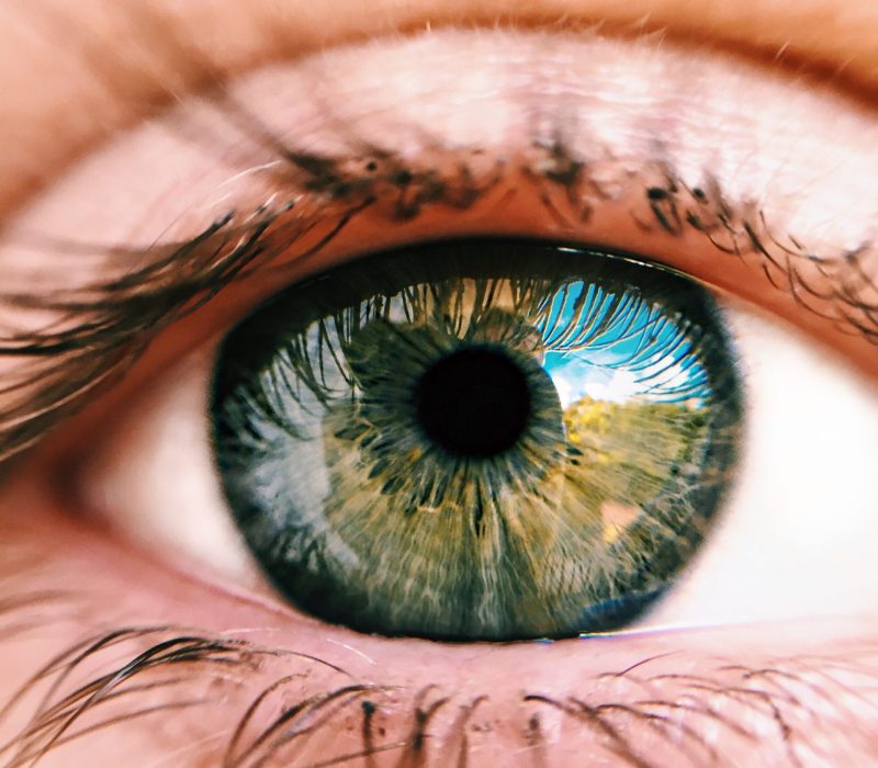 pexels-wendel-moretti-1925630